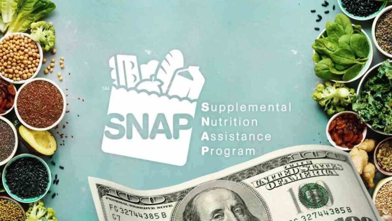 States with the Largest SNAP Payouts in Early November: Over $3,000 in Food Benefits