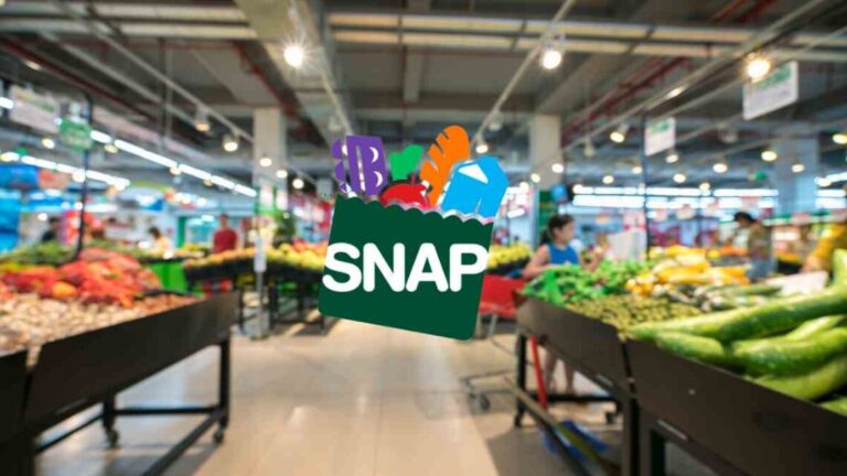 How to Apply for Additional SNAP Coupons in Florida’s Disaster Relief Program