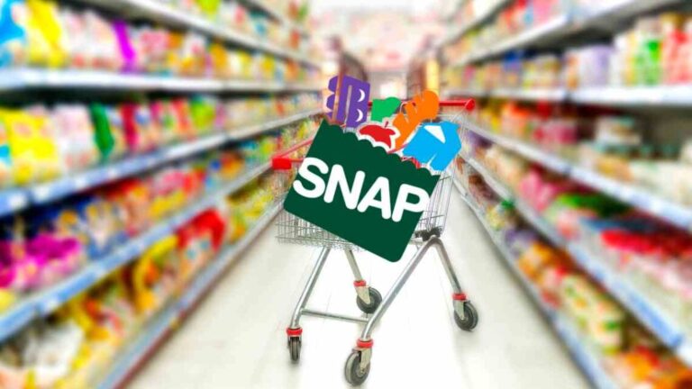 D-SNAP Food Assistance Now Available for Over 400,000 Hurricane Victims in Florida