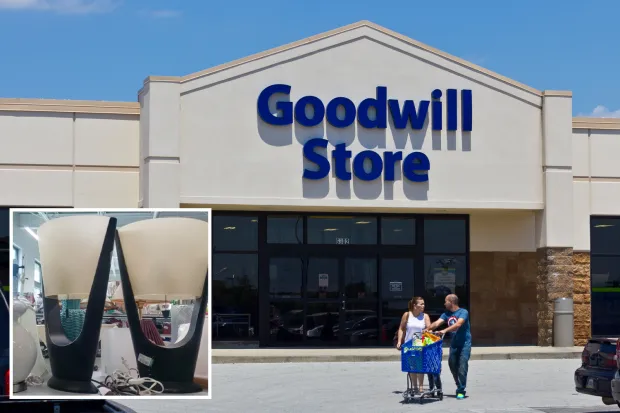 Nifty Thrifting: Discovering $2,000 Worth of Rare Finds at Goodwill for Just $19