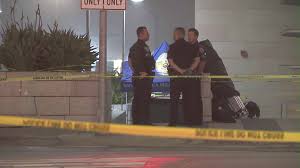 Santa Monica Officer Stabbed Multiple Times, Suspect Shot Dead in Incident