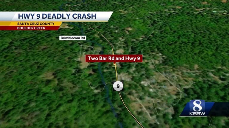 One Dead in DUI Crash into Tree in Santa Cruz Mountains, CHP Reports