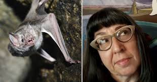 99.9% Fatal Rabies Claims Life of California Teacher After Bat Encounter